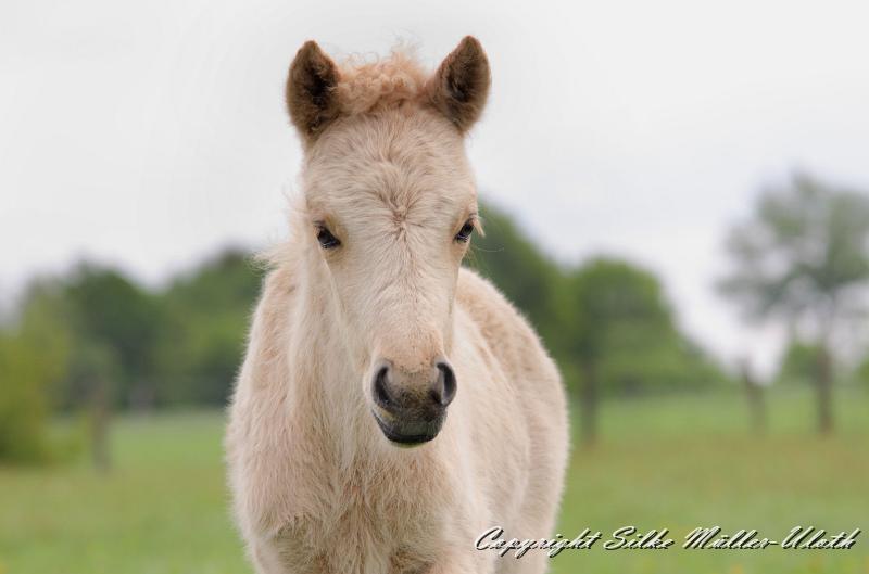 Erla c.jpg - Erla von Heidmoor 3 Wochen alt